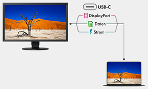 CG2700S USB-C displayport daten strom