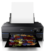 rip software for epson p800
